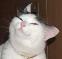 11680
