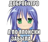 46586
