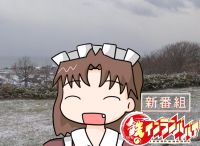 255463