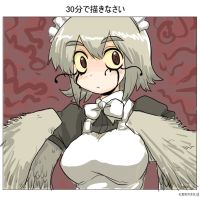 256335