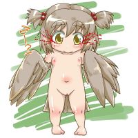 80504