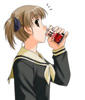 36 KB