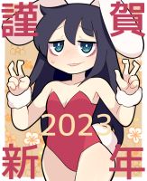 312 KB