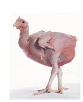 20580