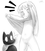 235684