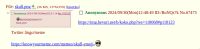 43 KB