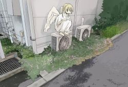 81047