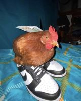 68888